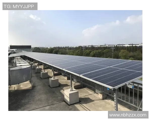 北京羽毛球队中路突破革新引领新风潮助力竞技水平提升