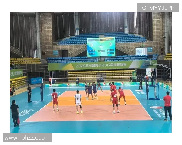 杭州排球队逆袭之路冠军赛特别报道展现奋斗与荣耀的精彩瞬间